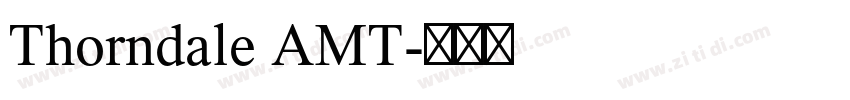 Thorndale AMT字体转换